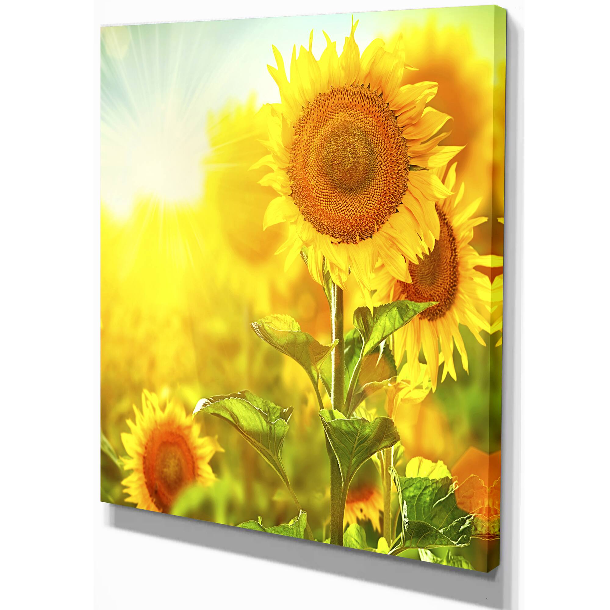 Designart - Bright Sunflowers Blooming on Field